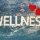 What is Wellness Leave?